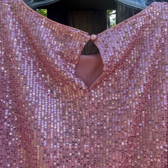 LC Pink Sequin Dress - Picture 8 of 10